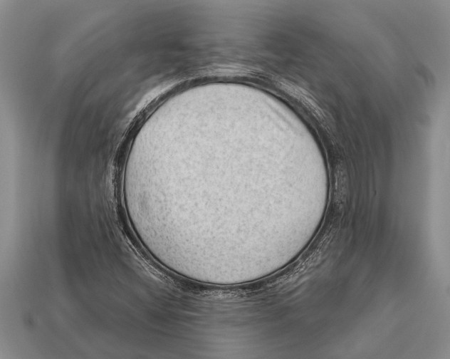 X0000112921404200909211043