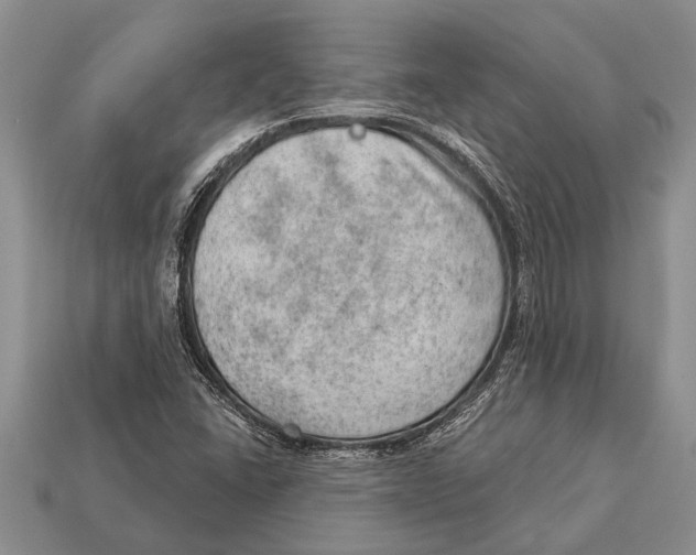 X0000112921406200909211043