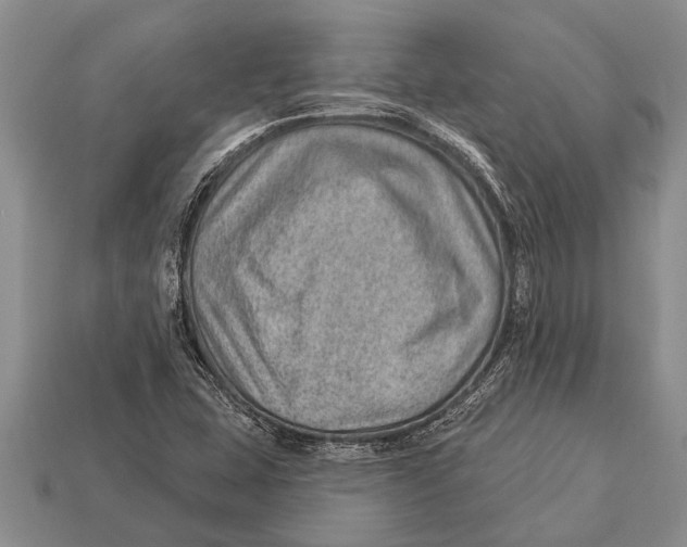X0000112921407200909211043