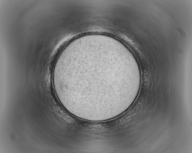 X0000112921408200909211043