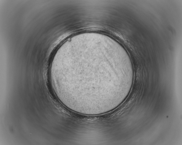 X0000112921410200909211043