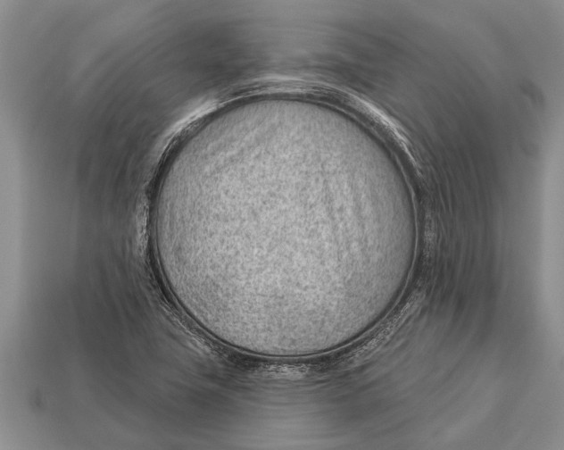 X0000112921411200909211043