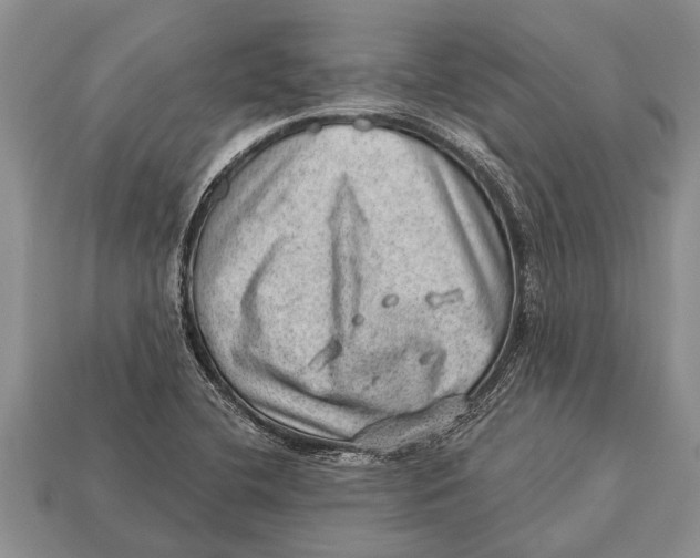 X0000112921412200909211043