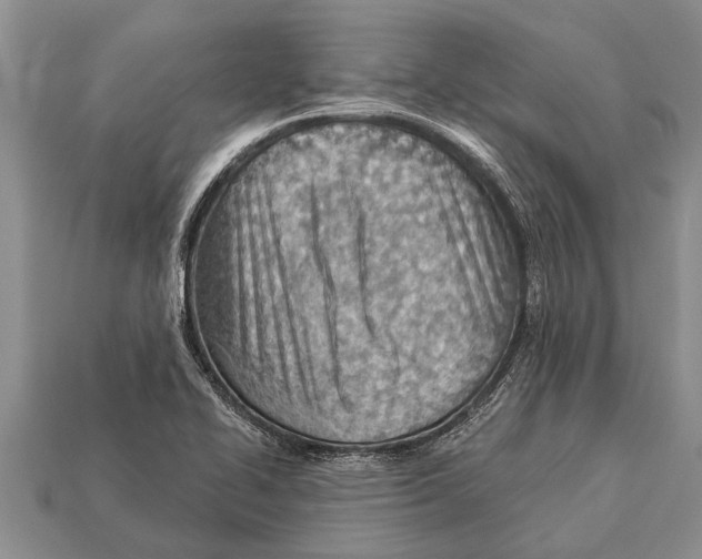X0000112921414200909211043