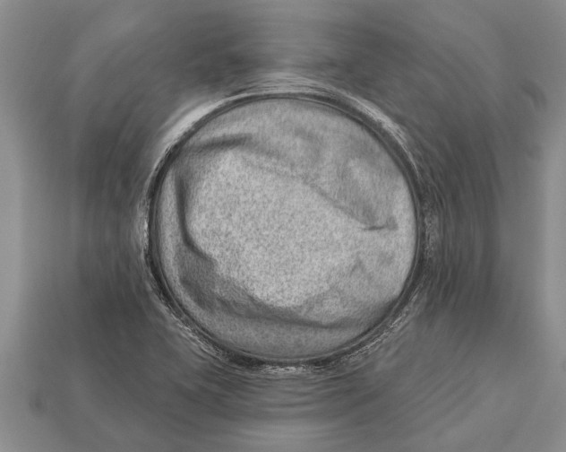 X0000112921415200909211043