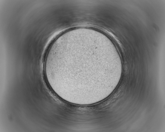 X0000112921416200909211043