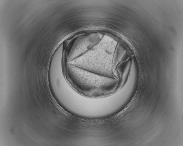 X0000112921417200909211043