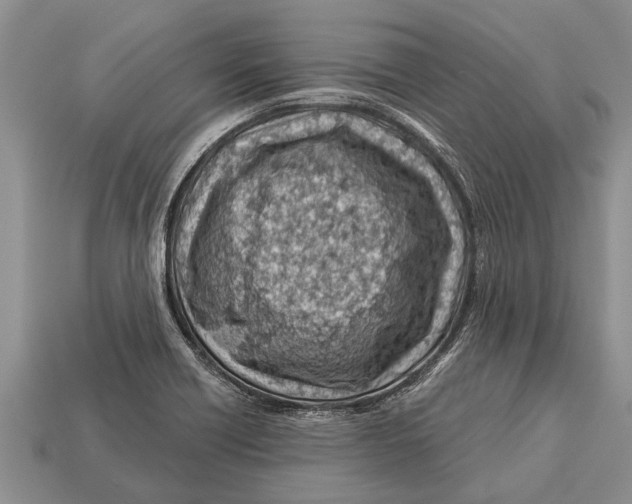 X0000112921418200909211043