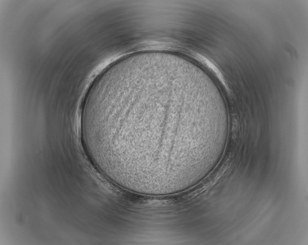 X0000112921419200909211043
