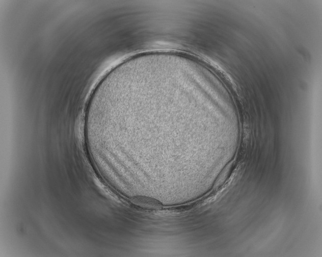 X0000112921421200909211043