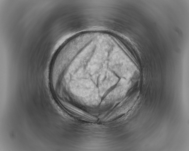 X0000112921422200909211043
