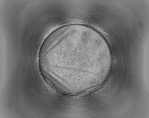 X0000112921423200909211043
