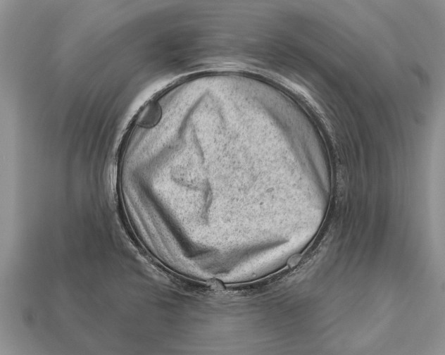 X0000112921424200909211043