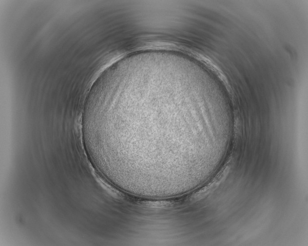 X0000112921425200909211043
