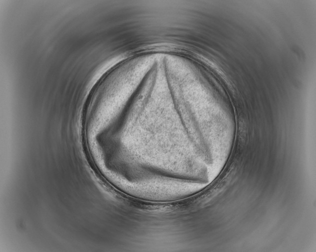 X0000112921426200909211043