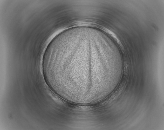 X0000112921427200909211043