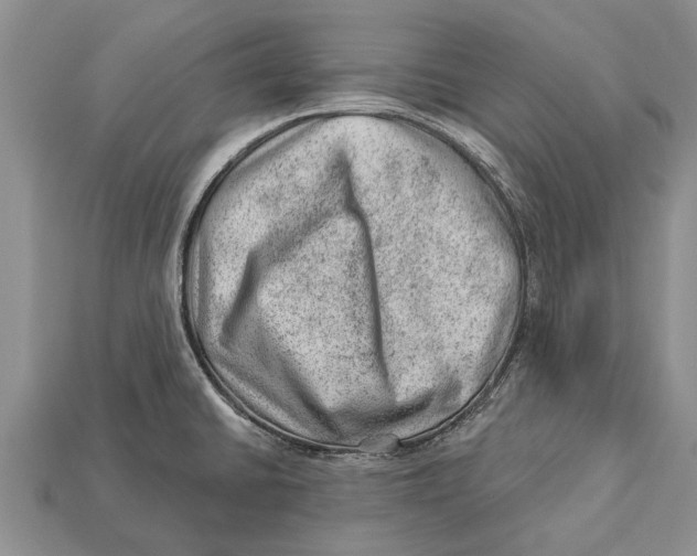 X0000112921430200909211043