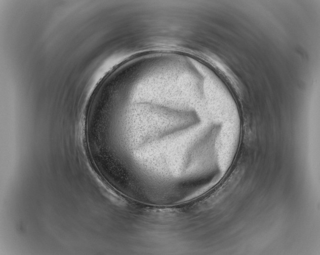 X0000112921432200909211043