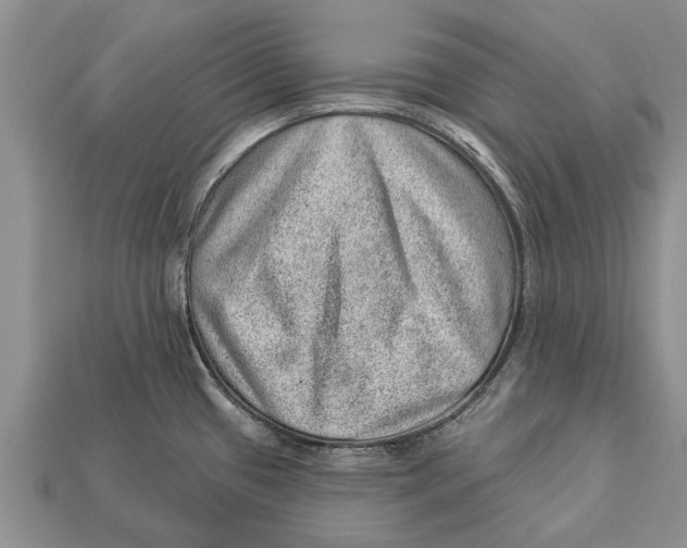 X0000112921433200909211043