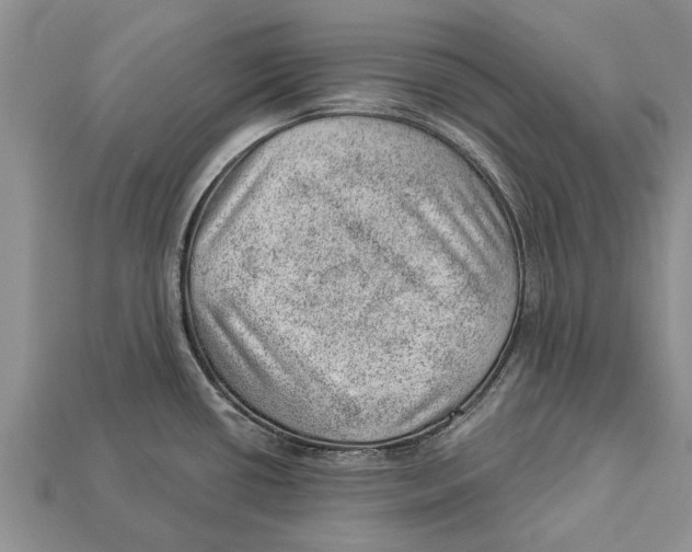 X0000112921434200909211043