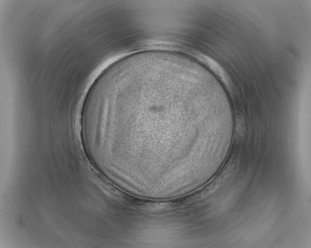 X0000112921435200909211043