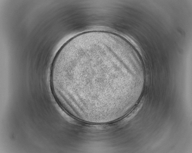 X0000112921438200909211043