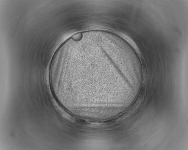 X0000112921439200909211043