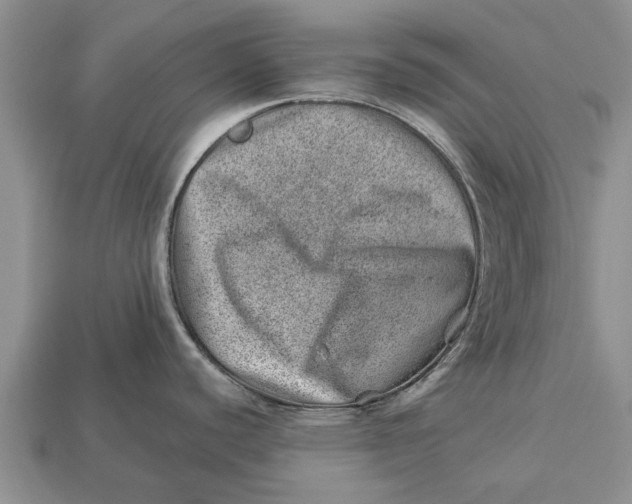 X0000112921440200909211043
