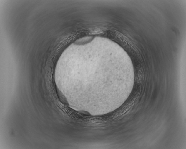 X0000112921441200909211043