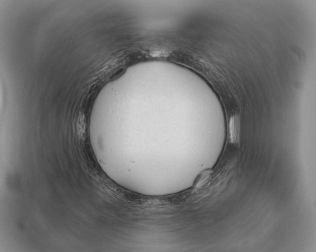 X0000112921443200909211042