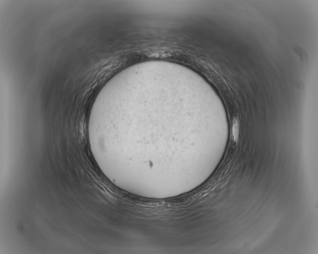 X0000112921444200909211042