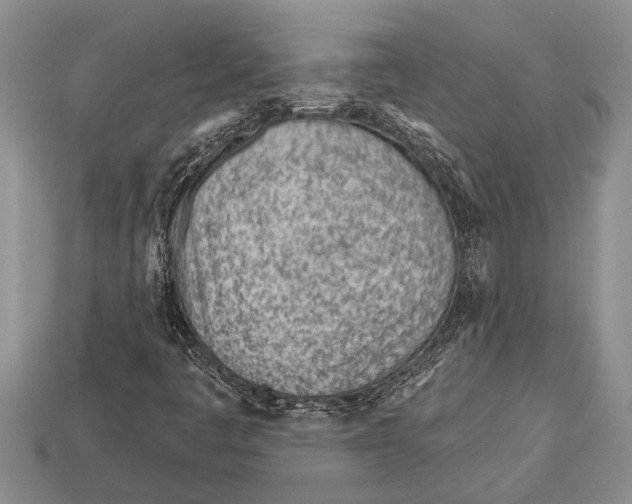 X0000112921445200909211042