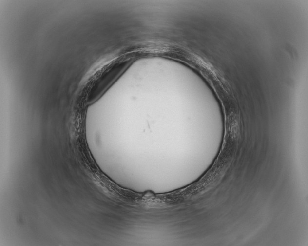 X0000112921448200909211042