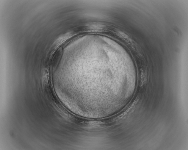 X0000112921449200909211042
