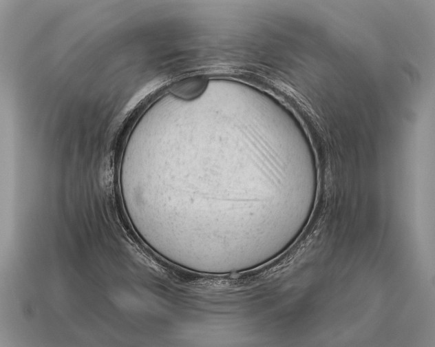 X0000112921450200909211042