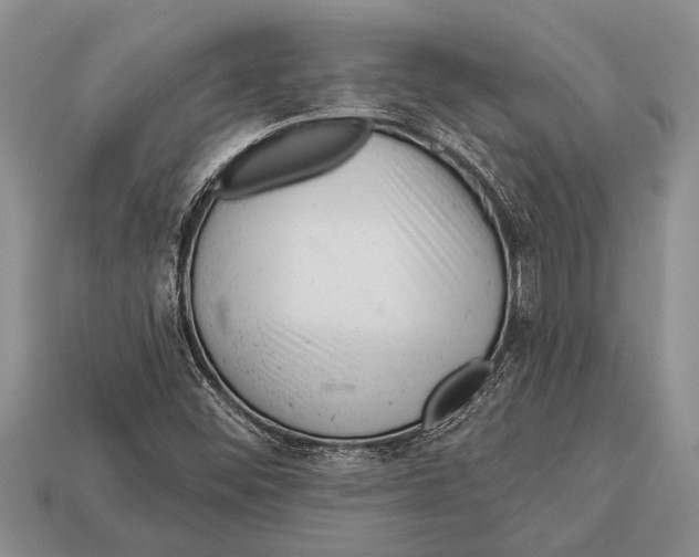 X0000112921452200909211042