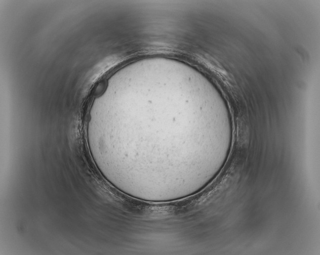 X0000112921453200909211042