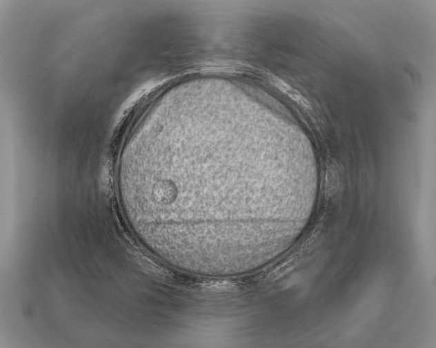 X0000112921454200909211042