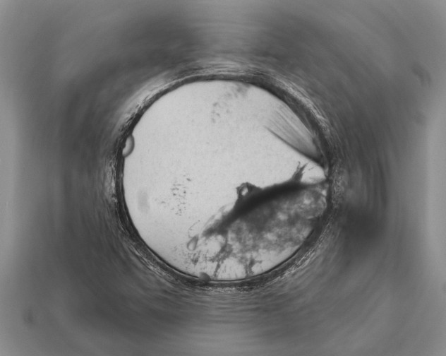 X0000112921455200909211042