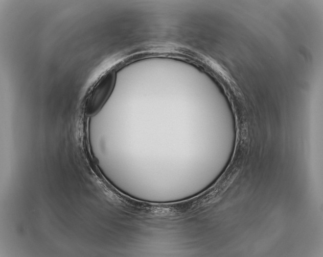 X0000112921456200909211042