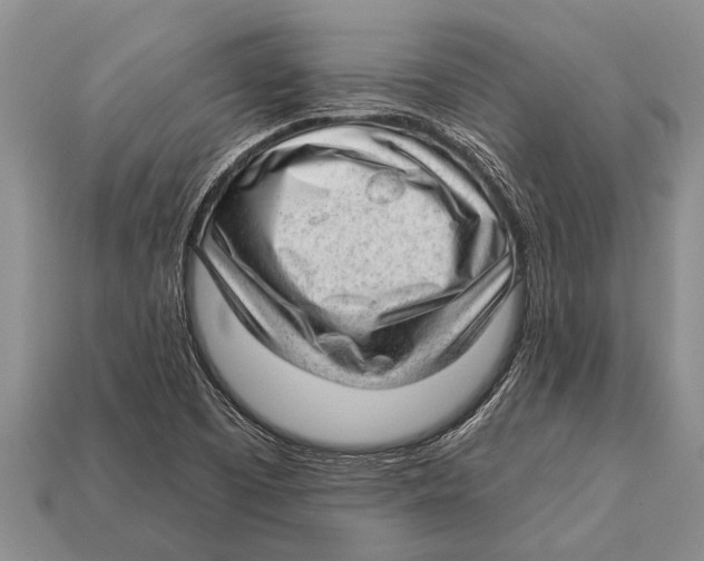 X0000112921457200909211042