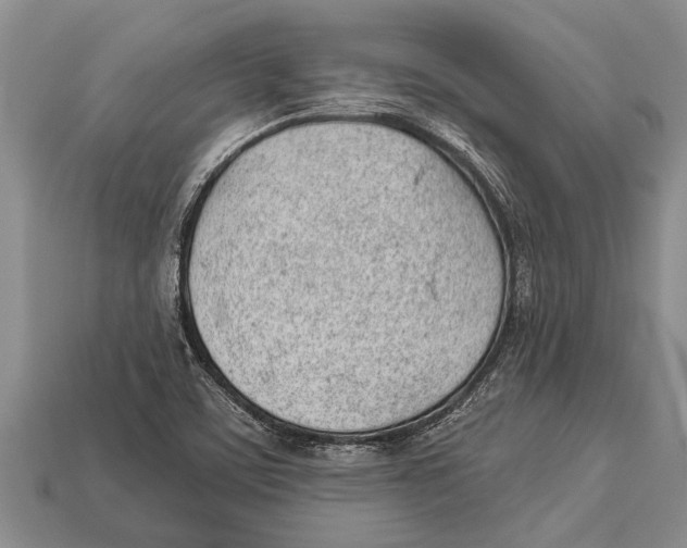 X0000112921459200909211042