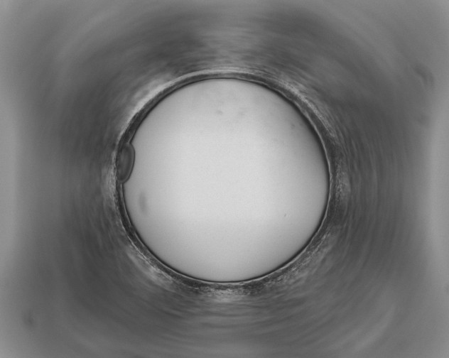 X0000112921460200909211042