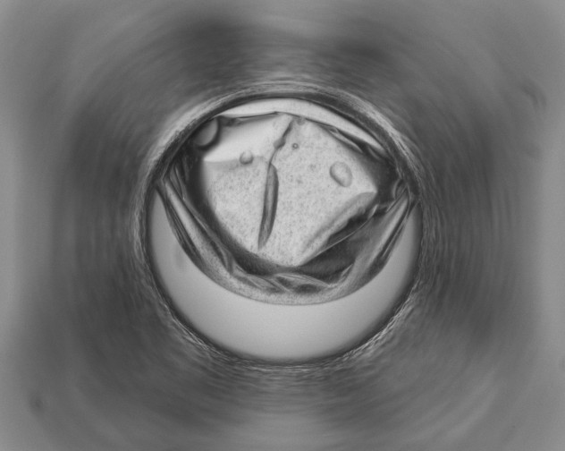 X0000112921461200909211042