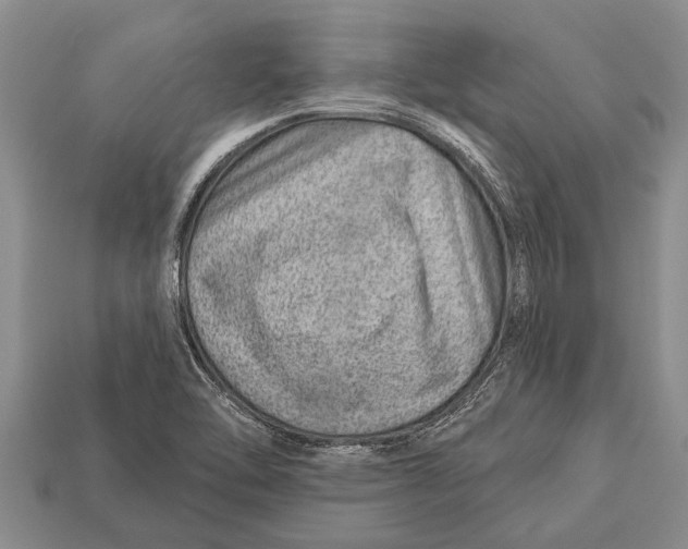X0000112921462200909211042