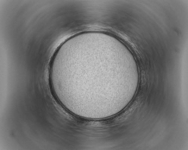 X0000112921463200909211042