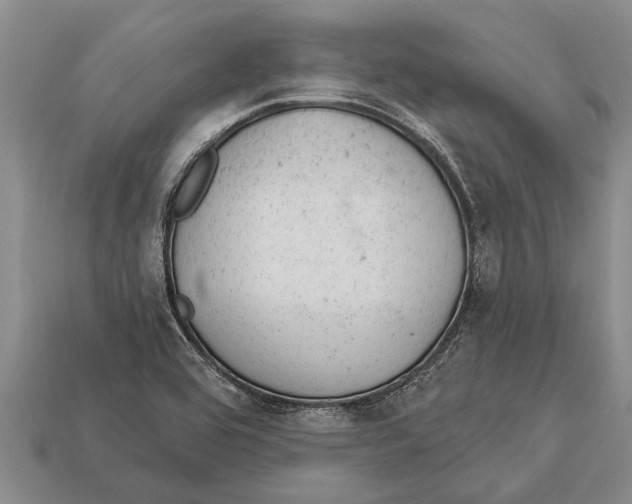 X0000112921464200909211042