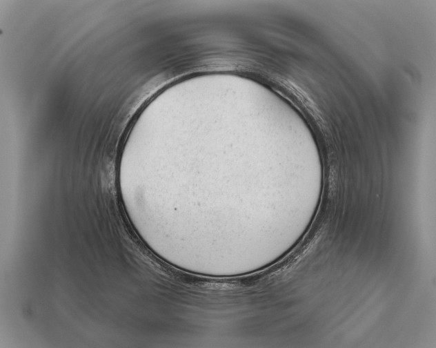 X0000112921465200909211042