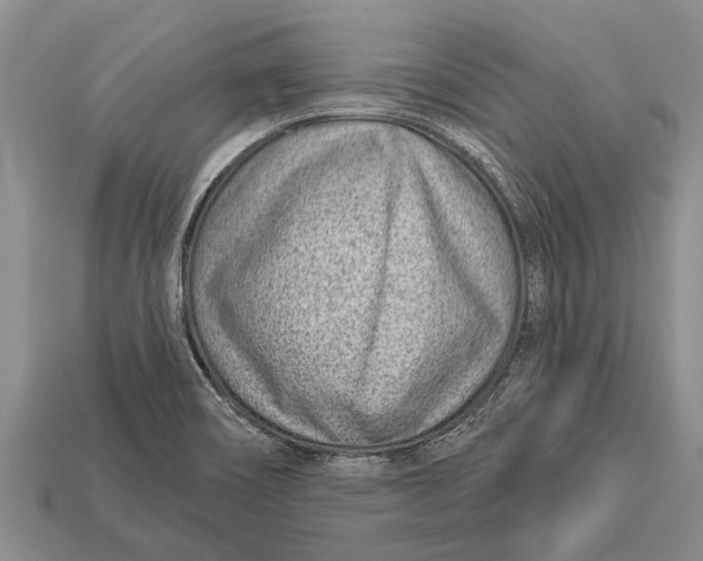 X0000112921466200909211042