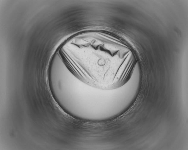 X0000112921468200909211042